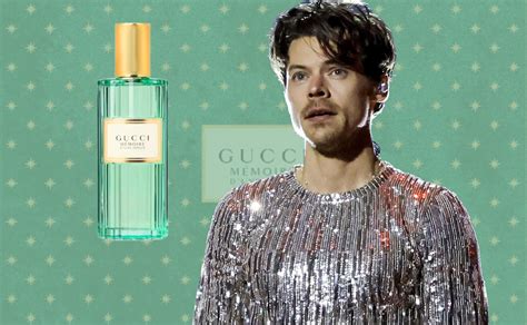 harry styles cologne burberry|Harry Styles cologne colors.